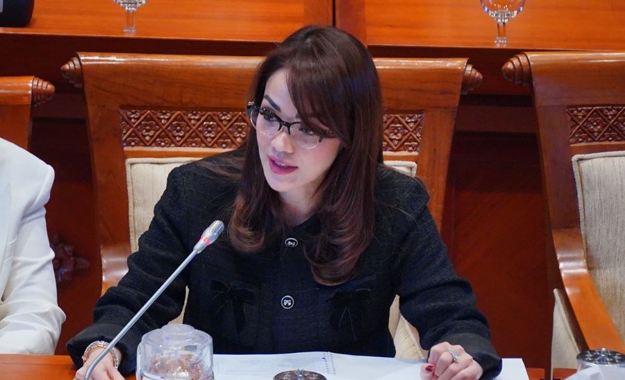Andina Narang Wanti-Wanti Pemerintah perihal Serangan Siber Skala Nasional